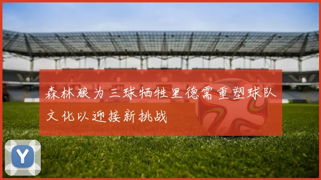 森林狼为三球牺牲里德需重塑球队文化以迎接新挑战